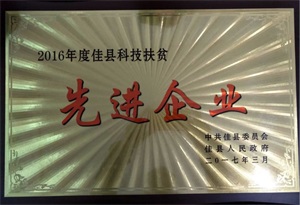 摩域平台全站标准网络访问地址与节点安全配置图片