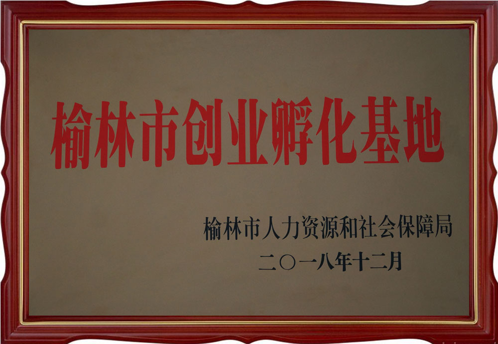 摩域平台全站经销商管理平台注册与资质审核入口图片