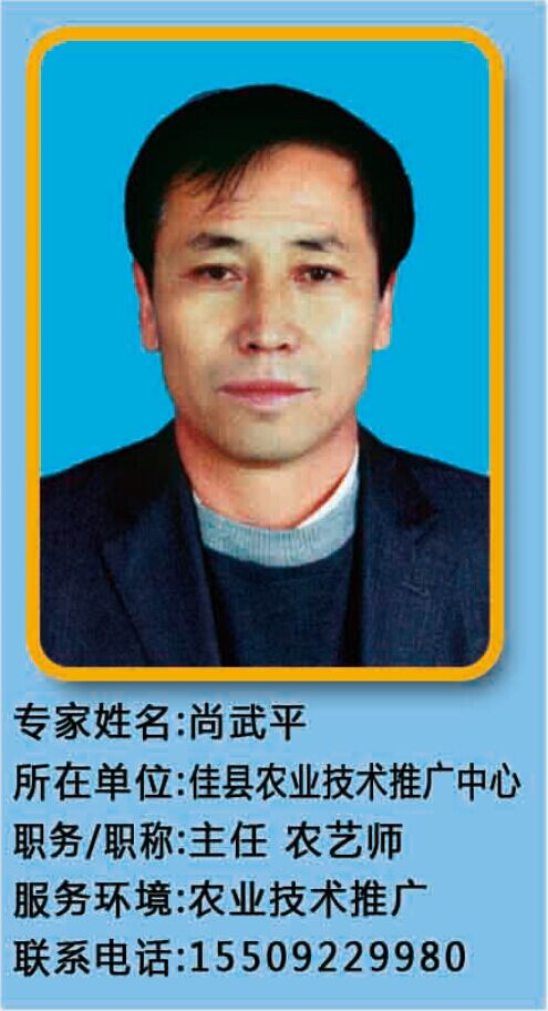 摩域平台官方标准数据总线与企业商务管理系统图片