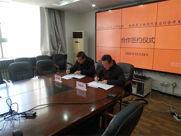 摩域平台官方响应式多终端网页版面配置管理图片