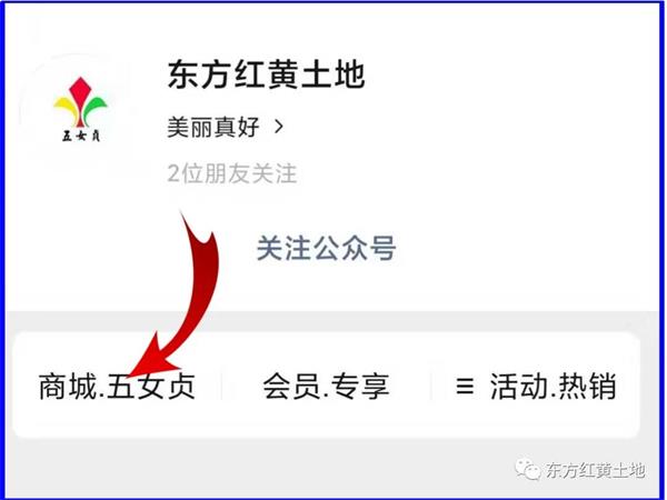 摩域平台官方指定唯一官方网址及备案认证查询图片