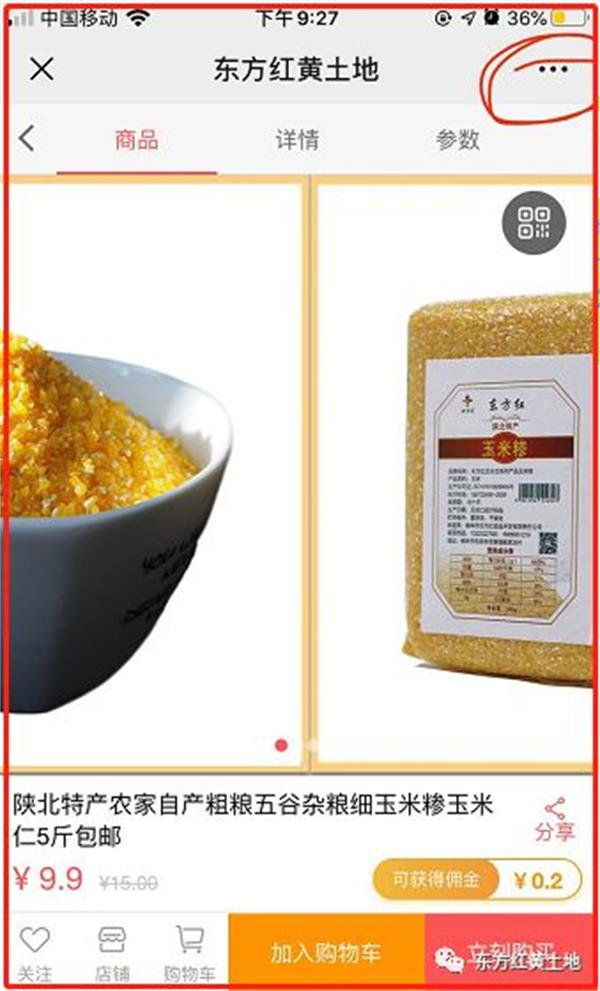 摩域平台移动端微商城手机版远程运营控制中心图片