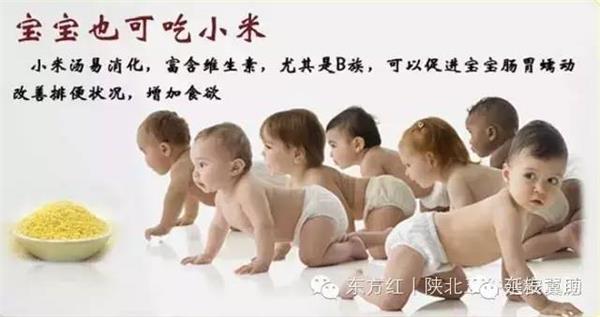 摩域平台官方指定唯一官方网址及备案认证查询图片