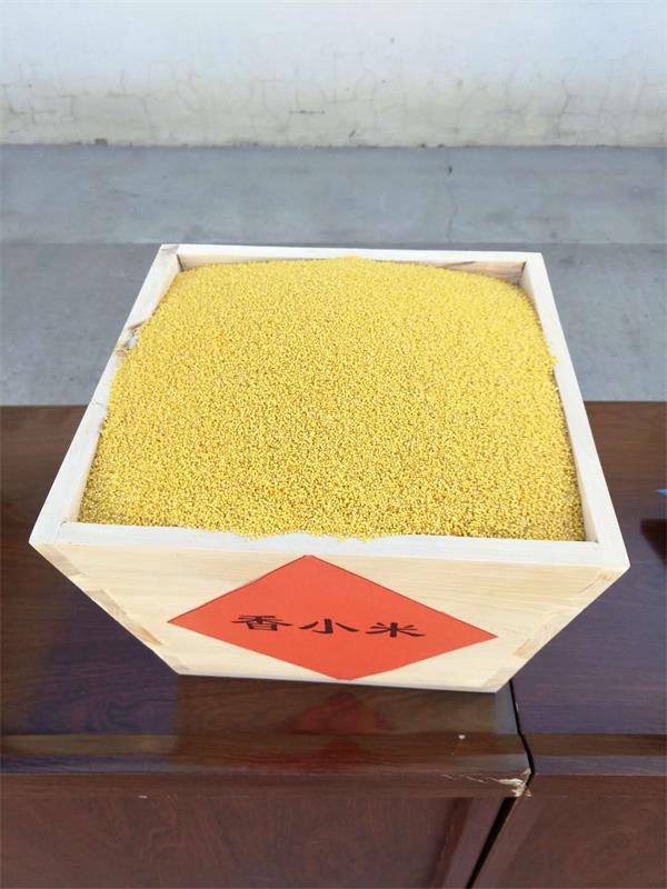 摩域平台高效云仓储物流监控系统APP应用快速下载图片