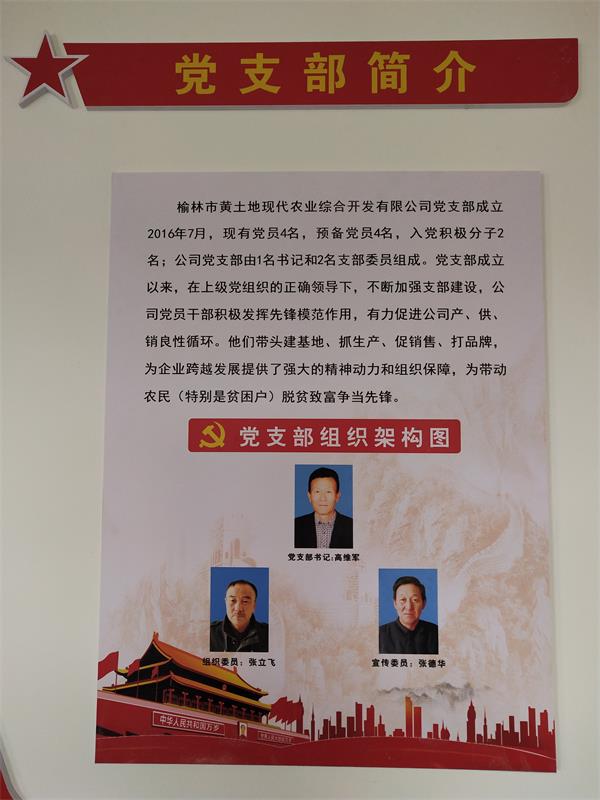 摩域平台全站标准网络访问地址与节点安全配置图片