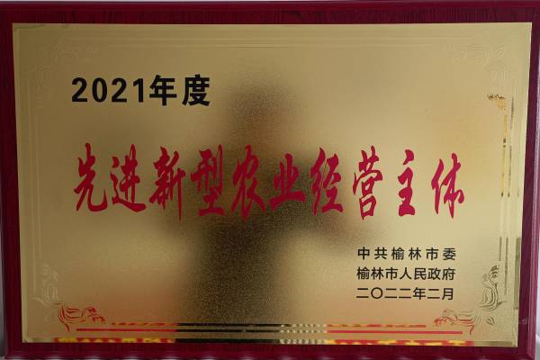 摩域平台高效云仓储物流监控系统APP应用快速下载图片
