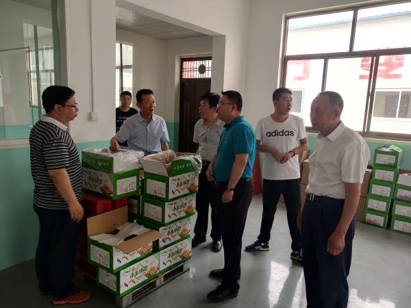 摩域平台全站经销商管理平台注册与资质审核入口图片
