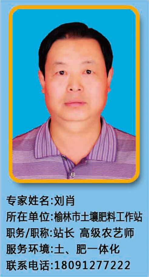 摩域平台全站经销商管理平台注册与资质审核入口图片
