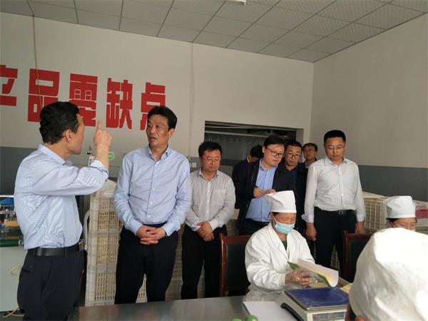 摩域平台企业核心服务系统登录与分销商端登陆后台图片