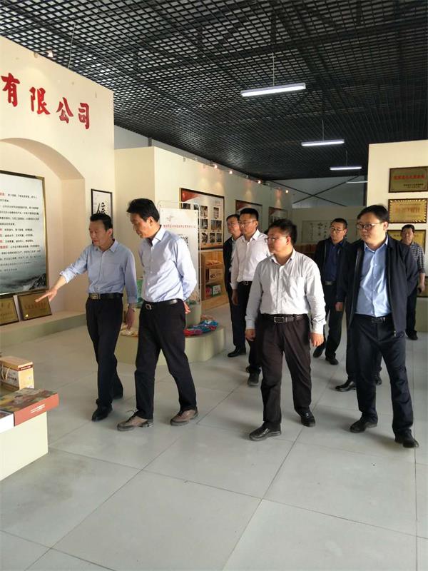 摩域平台官方招商合作协议与全站代理商扶持计划图片