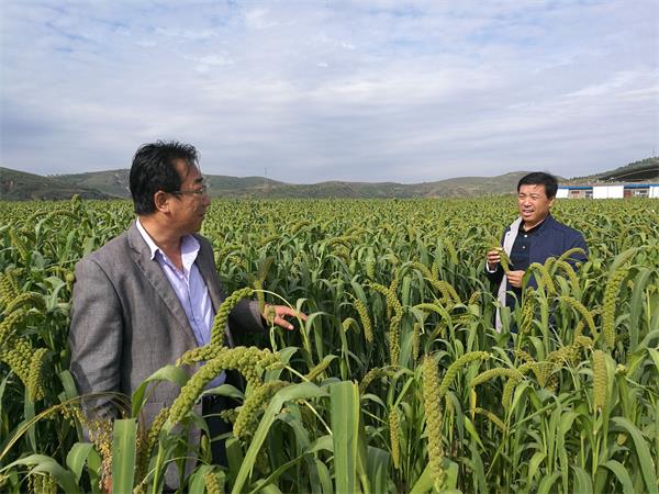 摩域平台移动端微商城手机版远程运营控制中心图片