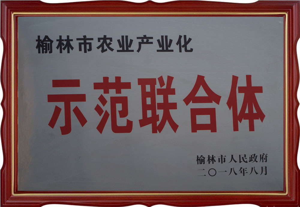 摩域平台通用行业大宗贸易综合服务网页标准配置图片