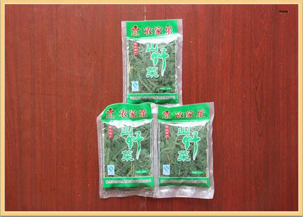 摩域平台企业职工文体健康活动中心管理系统图片