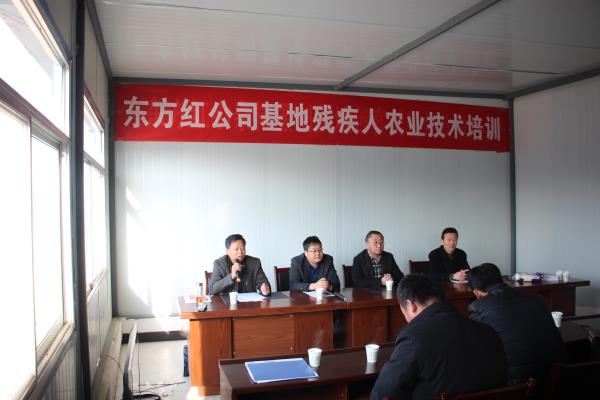 摩域平台企业核心服务系统登录与分销商端登陆后台图片