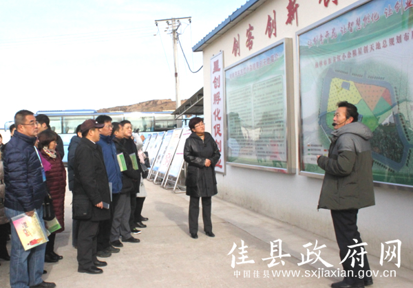 摩域平台全站经销商管理平台注册与资质审核入口图片