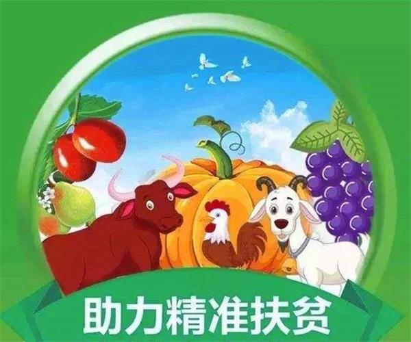 摩域平台移动端微商城手机版远程运营控制中心图片