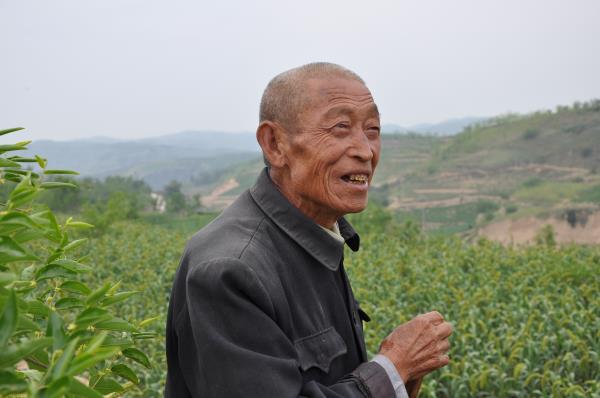 摩域平台企业核心服务系统登录与分销商端登陆后台图片