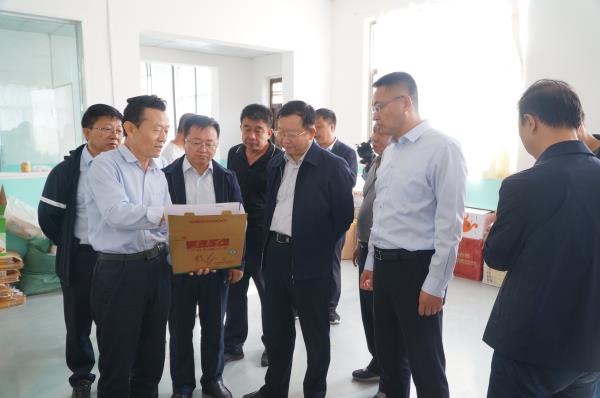 摩域平台移动端微商城手机版远程运营控制中心图片