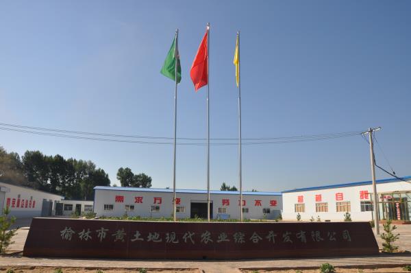 摩域平台移动办公OA系统手机版APP下载中心图片
