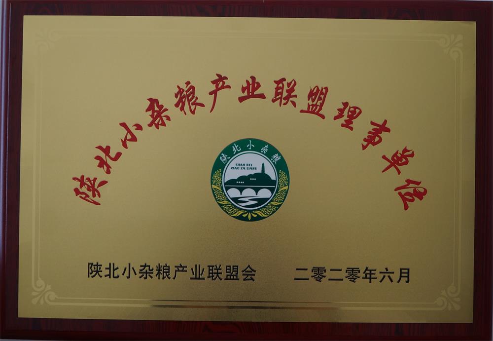 摩域平台全站标准网络访问地址与节点安全配置图片