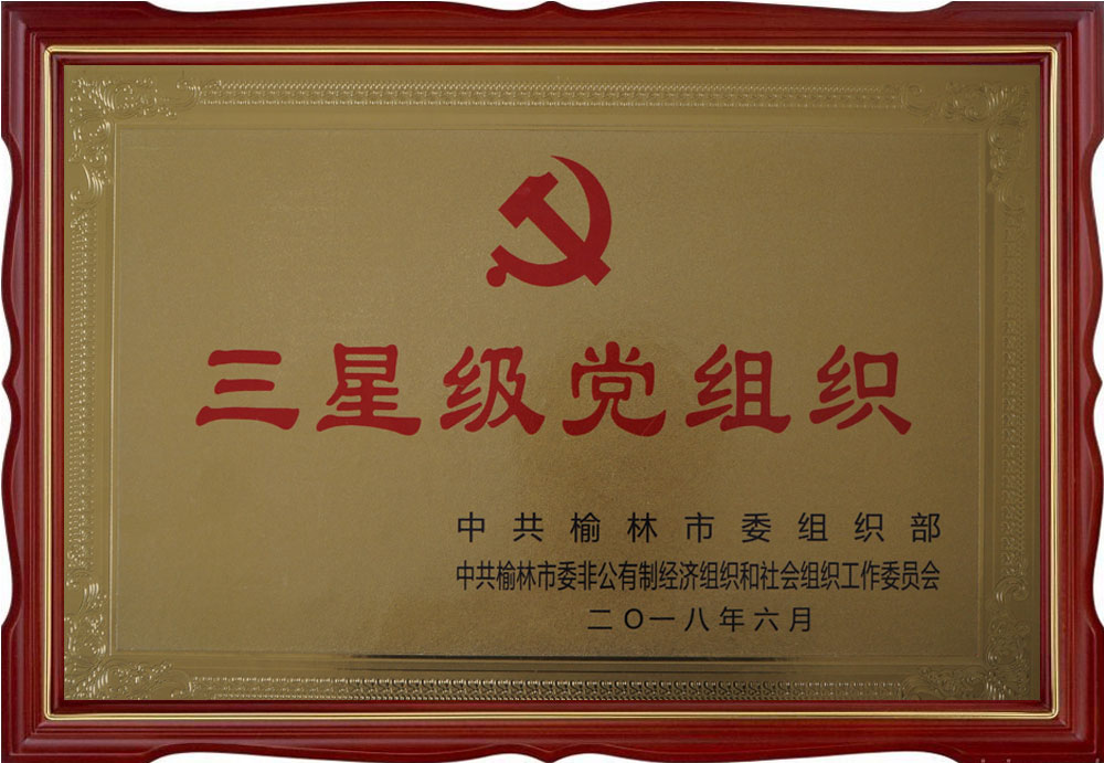 摩域平台官方指定唯一官方网址及备案认证查询图片