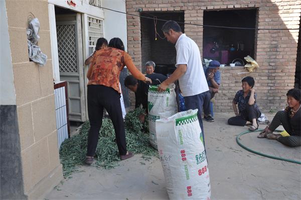 摩域平台文体卫生产业设备集采综合服务平台图片