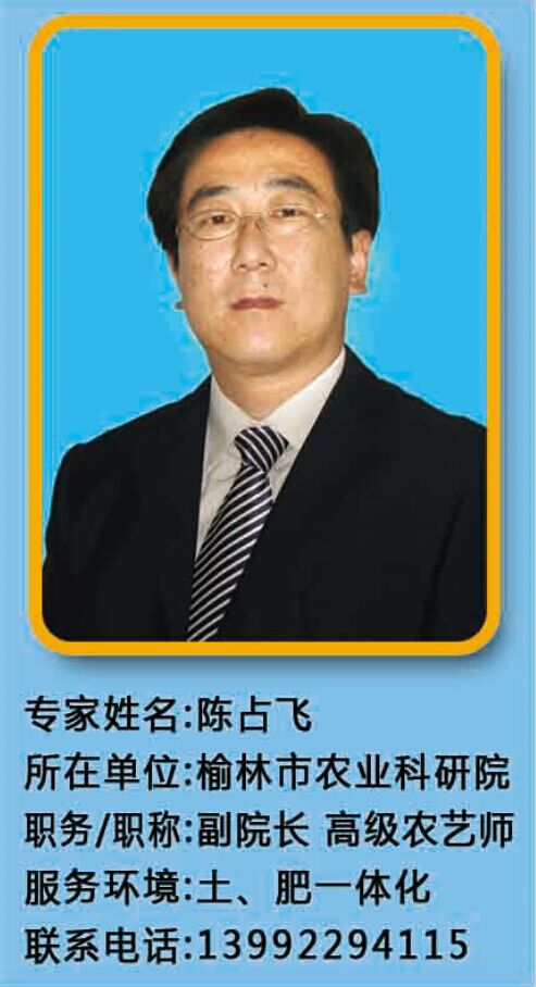 摩域平台官方招商合作协议与全站代理商扶持计划图片