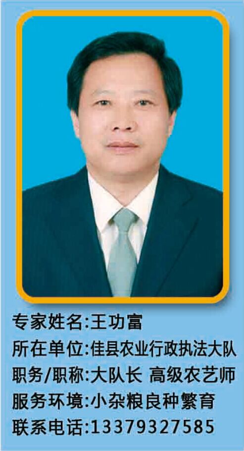 摩域平台官方指定唯一官方网址及备案认证查询图片