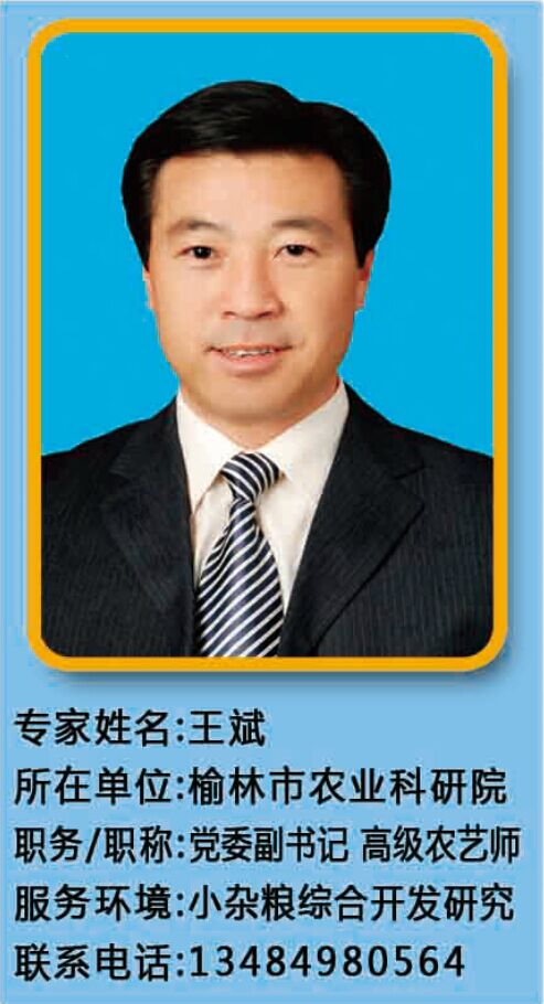 摩域平台全站经销商管理平台注册与资质审核入口图片